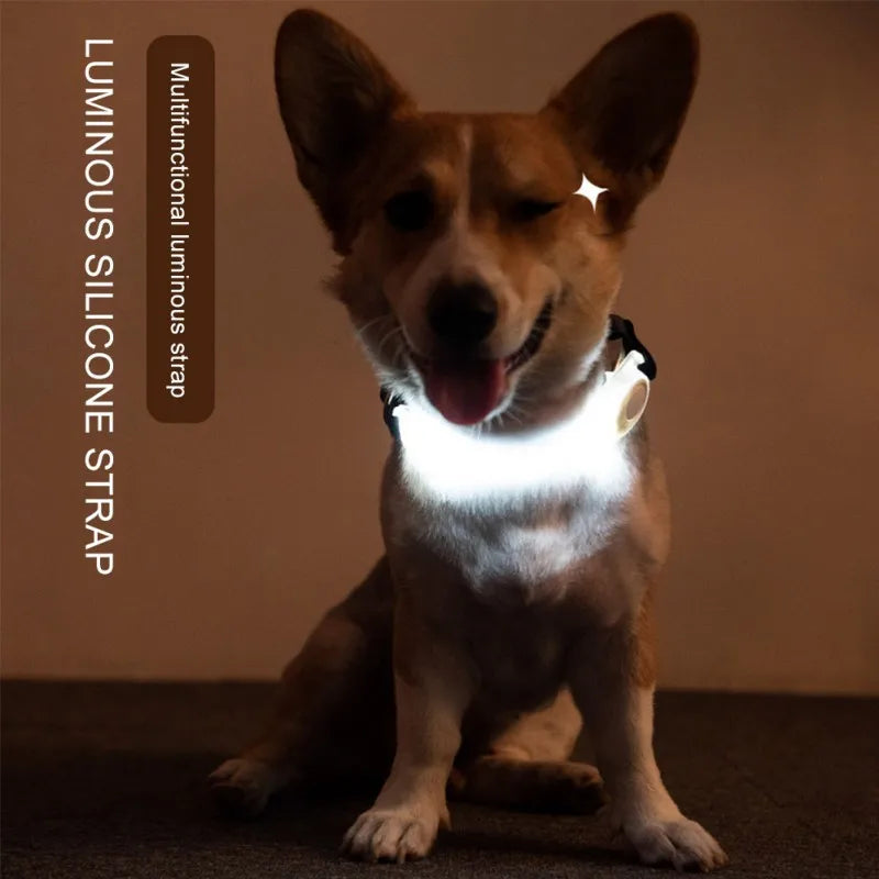 Pet Dog Led Rope Night Collars