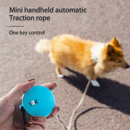 Automatic Retractable Small Pet Dog Leash