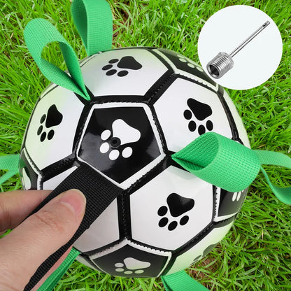 Interactive Pet Dog Paw Football Toys