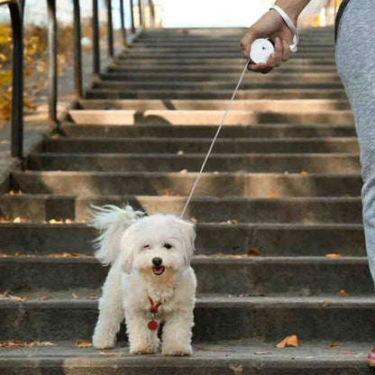 Automatic Retractable Small Pet Dog Leash