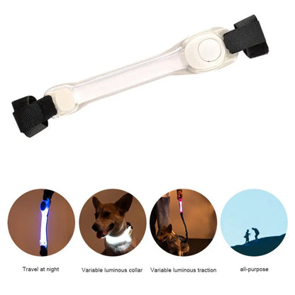 Pet Dog Led Rope Night Collars