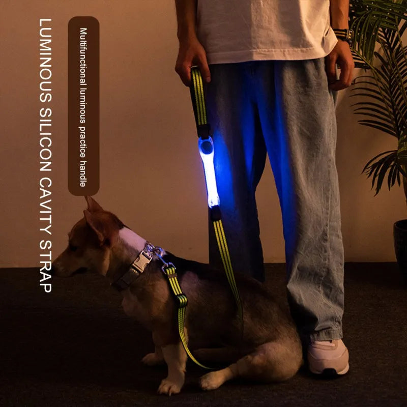 Pet Dog Led Rope Night Collars