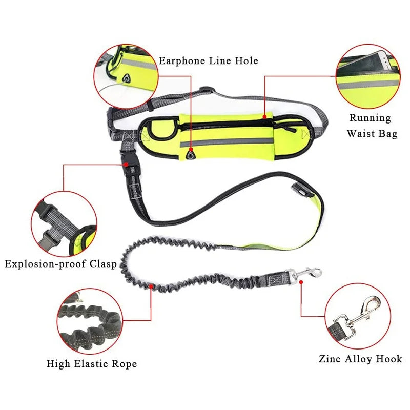 Pet Dog Elastic Belt Leash with Waist Bag