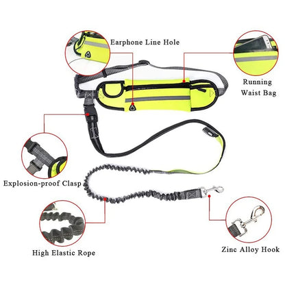 Pet Dog Elastic Belt Leash with Waist Bag