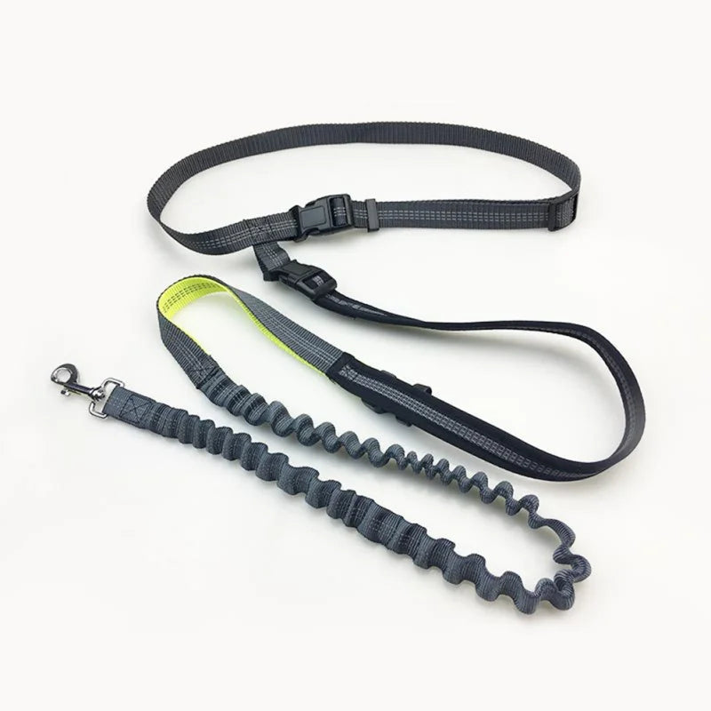 Pet Dog Elastic Belt Leash with Waist Bag