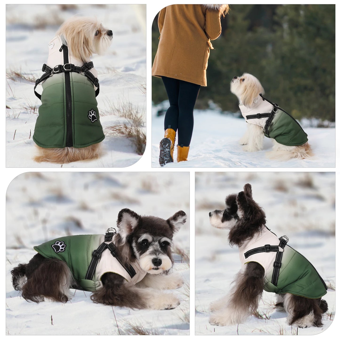 Waterproof Pet Dog Jacket With Harness