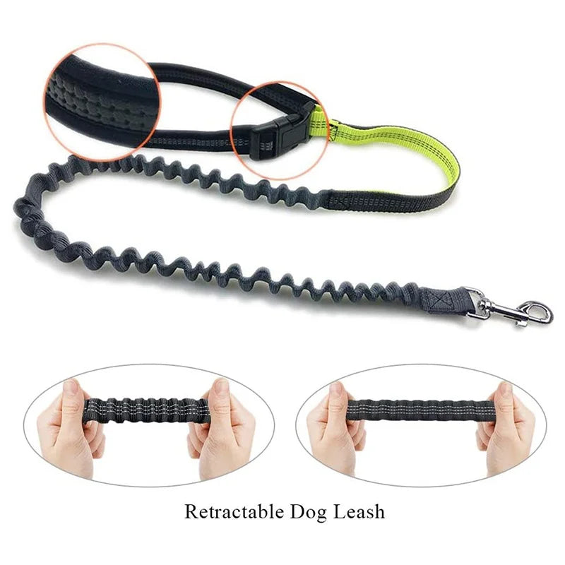 Pet Dog Elastic Belt Leash with Waist Bag