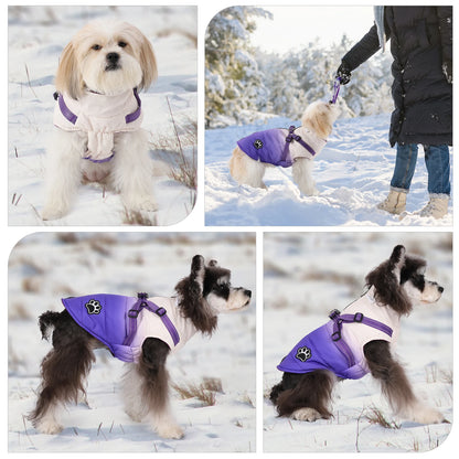 Waterproof Pet Dog Jacket With Harness