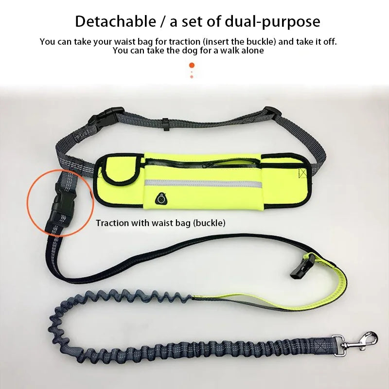 Pet Dog Elastic Belt Leash with Waist Bag