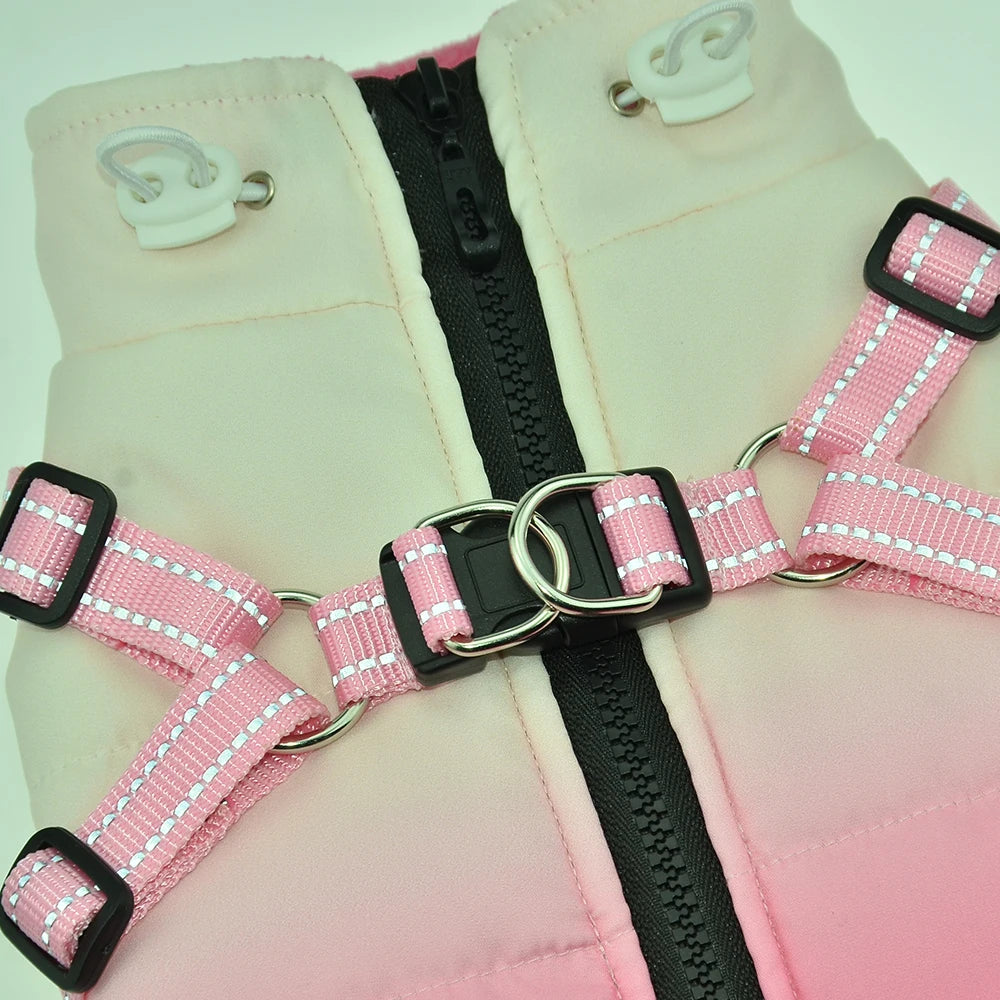 Waterproof Pet Dog Jacket With Harness