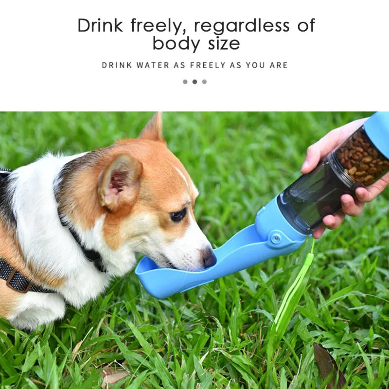 4 in 1 Portable Water Bottle for Dogs