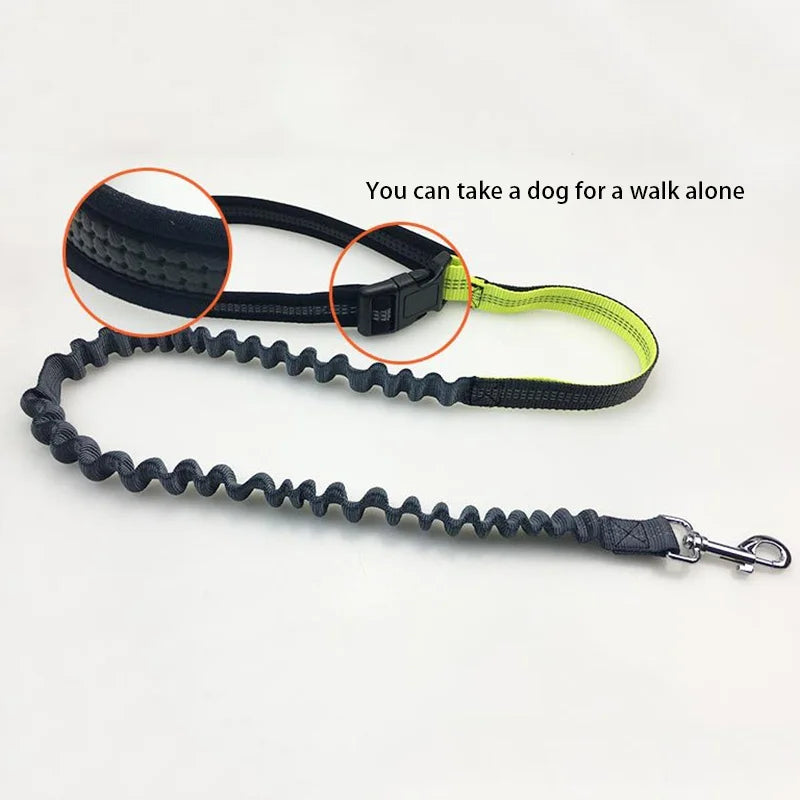 Pet Dog Elastic Belt Leash with Waist Bag