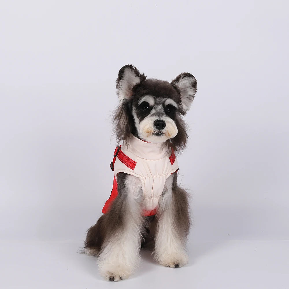 Waterproof Pet Dog Jacket With Harness