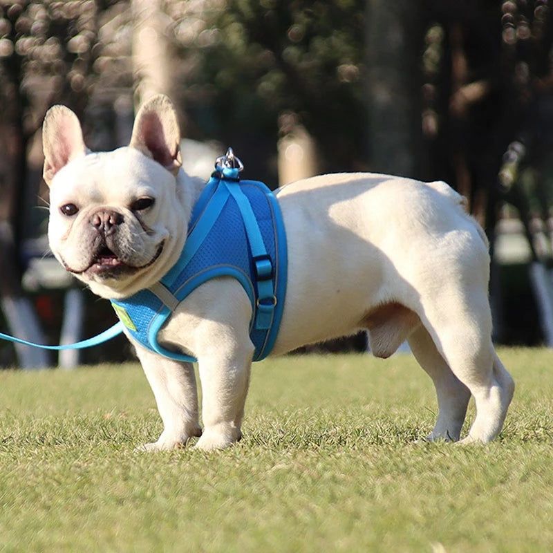 Pet Dog Mesh Harness Vest and Leash Set