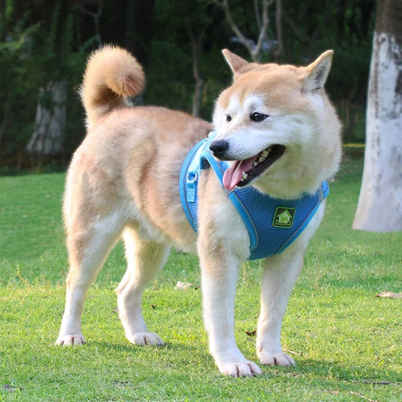 Pet Dog Mesh Harness Vest and Leash Set