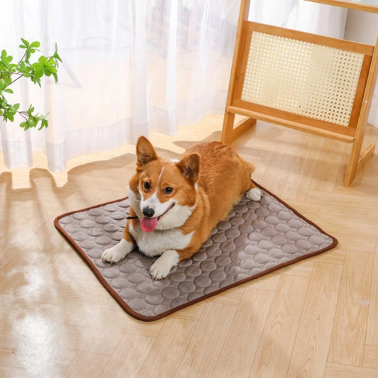 Pet Dog Summer Cooling Mat