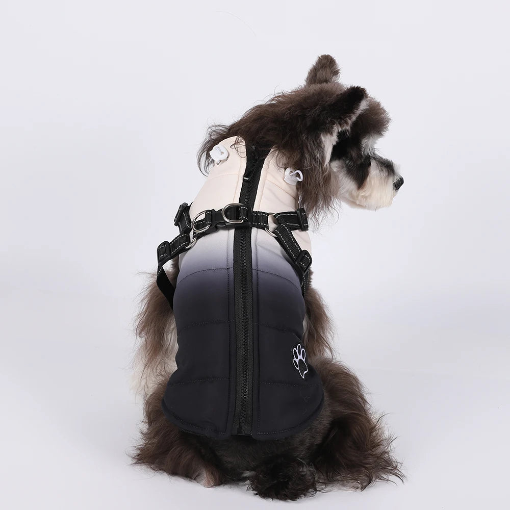 Waterproof Pet Dog Jacket With Harness