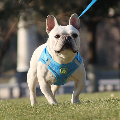 Pet Dog Mesh Harness Vest and Leash Set