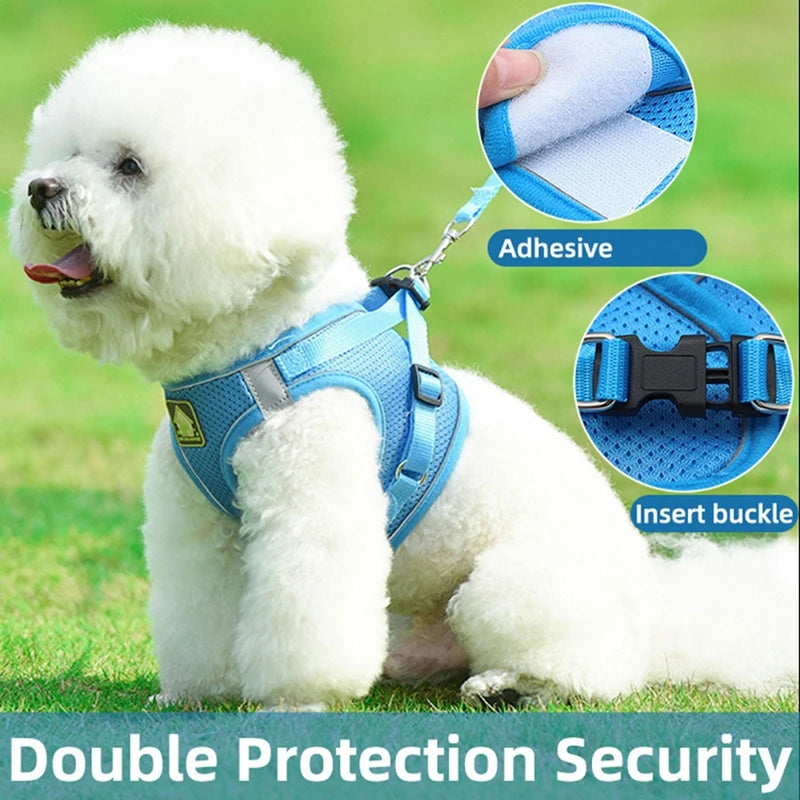 Pet Dog Mesh Harness Vest and Leash Set